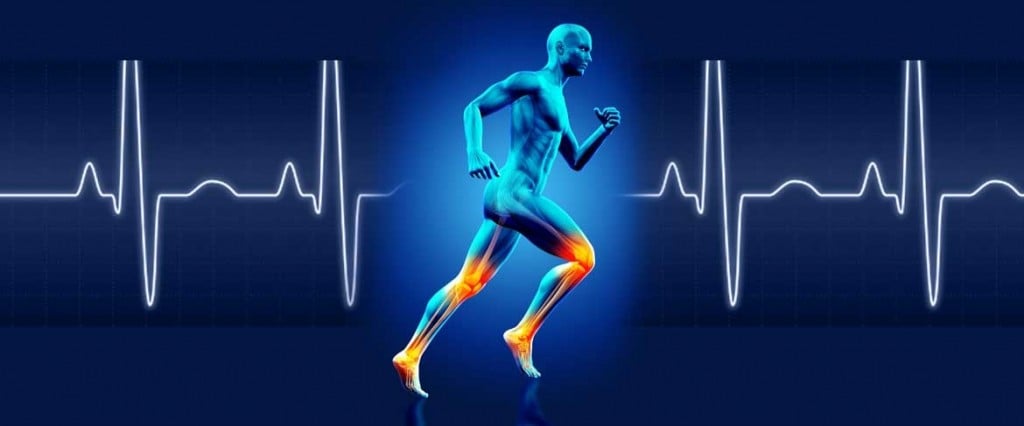 conteudo_567a9d2f11c9a