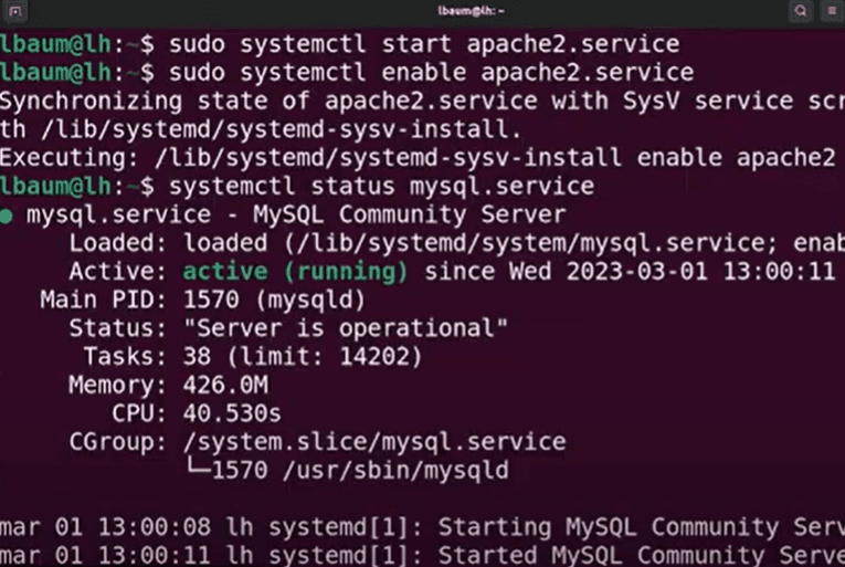 Imagem mostrando os códigos utilizados caso o serviço Apache não esteja funcionando na instalação e configuração do servidor web Linux