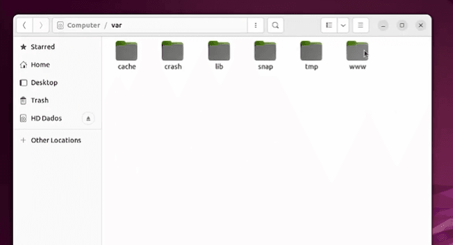 Localização da pasta "WWW", que deve ser acessada durante a instalação e configuração do servidor web Linux